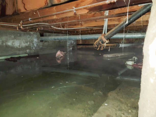 24/7 water damage repair in CA