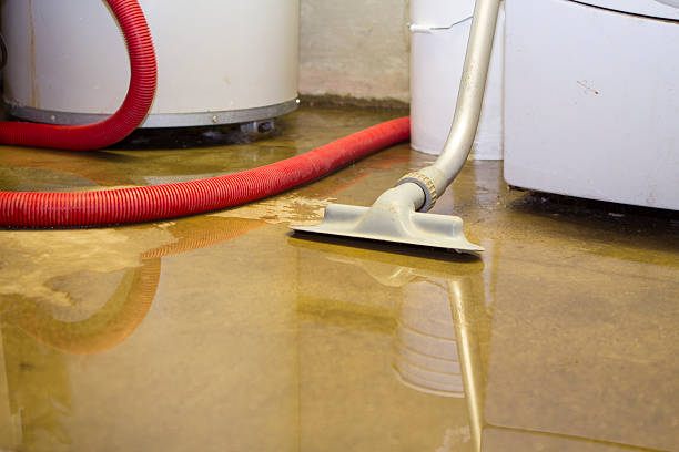 Trusted CA Water damage restoration Experts